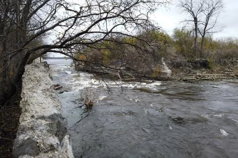 Flowing river by a tree Stock Photos