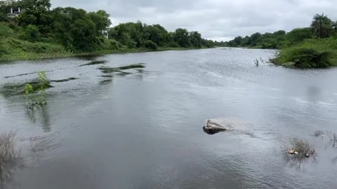 Flowing River with Trees and Sky | Natural Landscape Scenic View Stock Footage 316520299