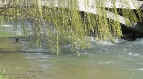 Flowing river under the city bridge Stock Footage 7740769