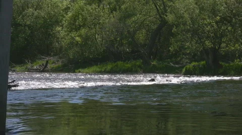 Flowing river under a concrete bridge Stock Footage 661744