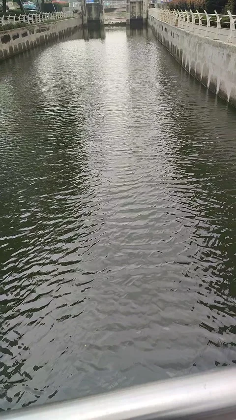 Flowing River Under Gentle Wind Video stock 335511502