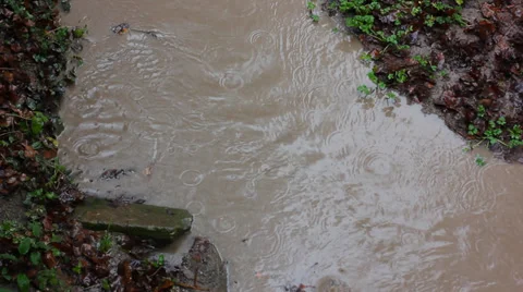 Flowing river under the rain Stock Footage 36159716