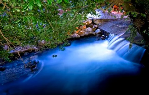 Flowing River Under Trees Stock Photos