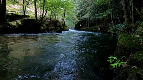 Flowing river in the valley Stock Footage 145857225