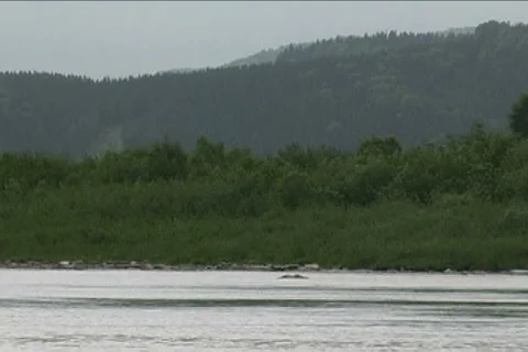 Flowing river vol 2 Stock Footage 5554999