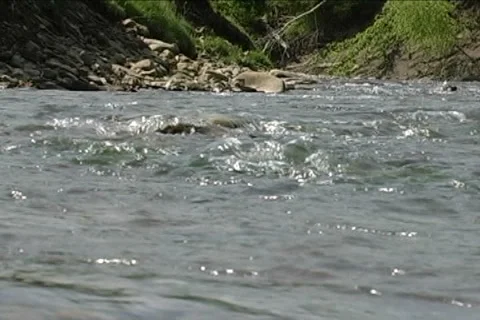 Flowing river vol 5 Stock Footage 5614195
