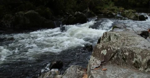 Flowing river in wales Stock Footage 81278458