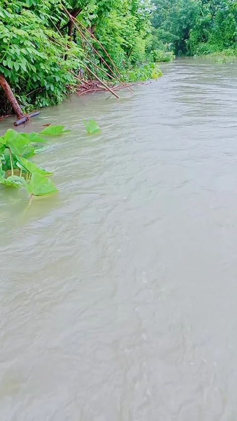 Flowing river water after rain in nature scenery Stock Footage 346745903