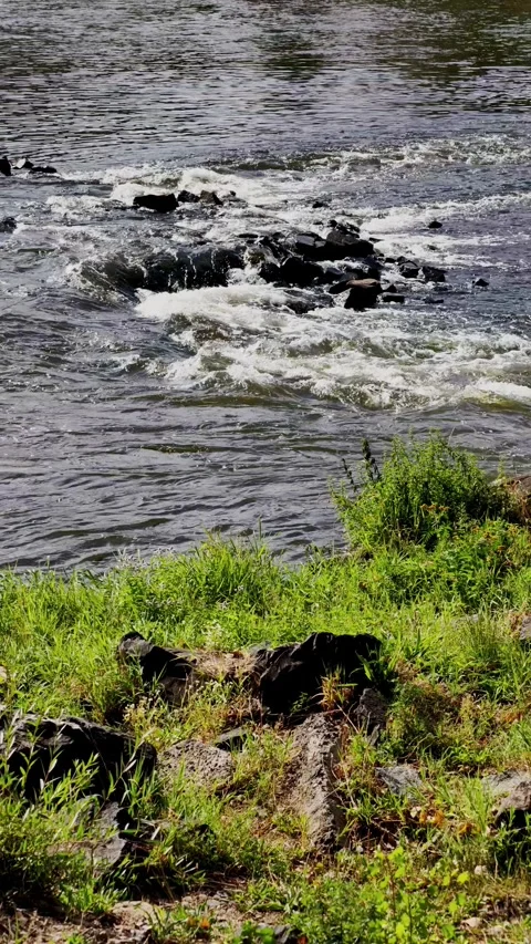 Flowing River Water Around Dark Stones and White Foam Видео 345162734