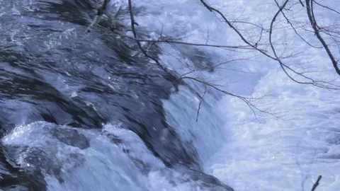 Flowing River Water with Branches Stock Footage 100935265