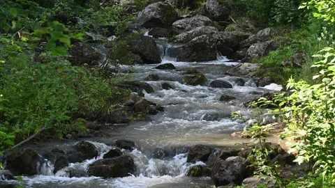 Flowing river water cascading through a lush forest environment Vídeo Stock 284034997