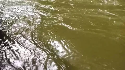 Flowing River Water Close-Up Stock Footage 329087989