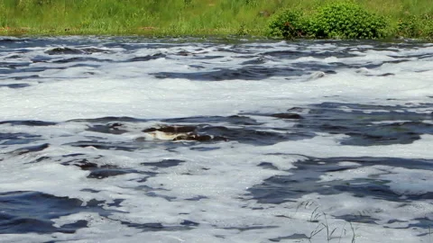 Flowing river water with foam and waves Stock Footage 198328373