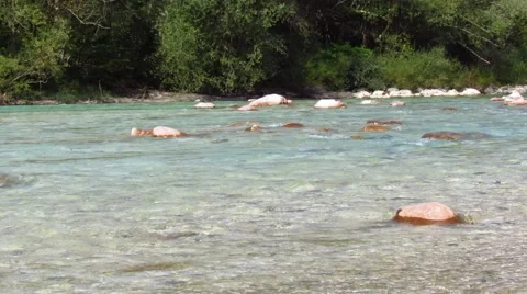 Flowing river water Stock Footage 42533912