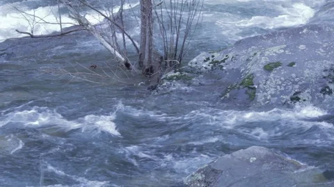 Flowing River Water Stock Footage 100995468