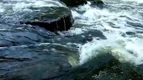 Flowing river water Stock Footage 244108689
