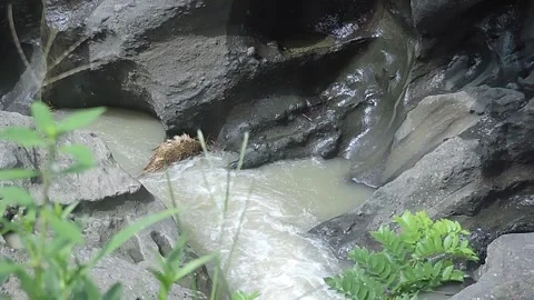 Flowing river water Stock-Footage 278946029