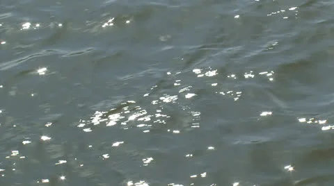 Flowing river water - full screen Stock Footage 23146153