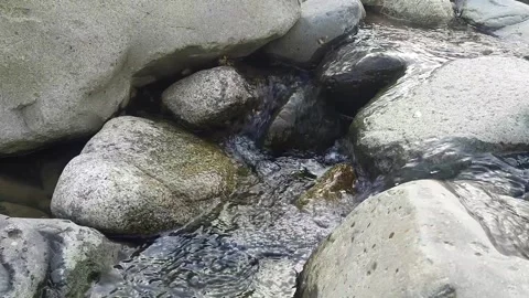 Flowing river water moving between smooth rocks in natural stream environme.. 스톡 동영상 335126519