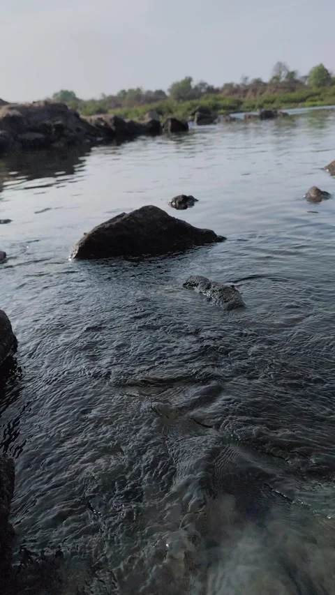 Flowing River Water Over Rocks Nature Scene Vertical Video Stock Footage 331080717