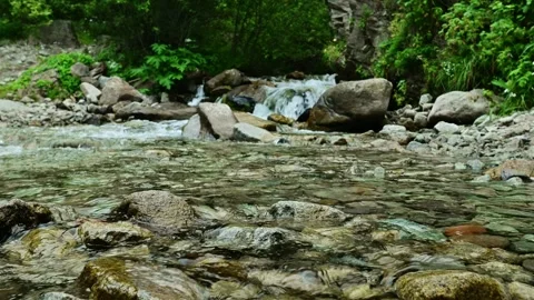 Flowing river water over rocks in lush green forest setting with gentle cascade Stock Footage 341475054