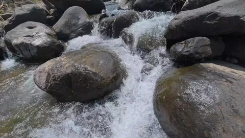 Flowing River Water Over Rocks in Peaceful Nature Stock Footage 344841302