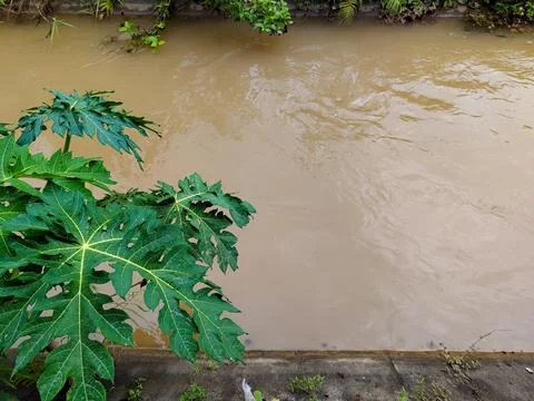 The flowing river water Stock Photos