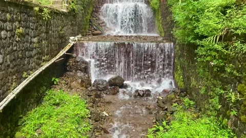Flowing River Water from a Small Waterfall Surrounded by Lush Green Nature Stock Footage 340807691