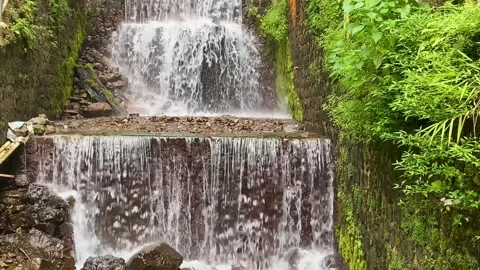Flowing River Water from a Small Waterfall Surrounded by Lush Green Nature Stock Footage 340809502