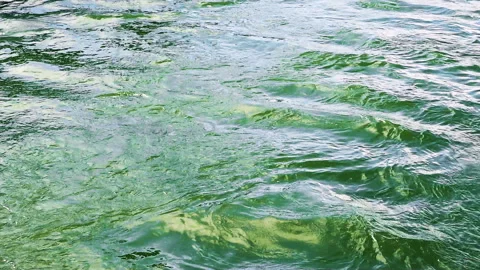 Flowing river water surface Stock Footage 146126268