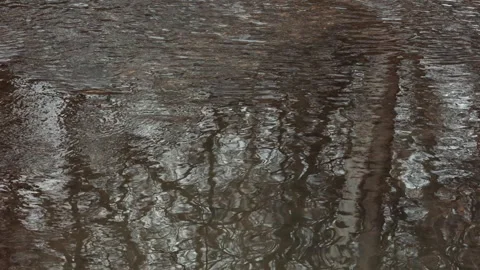 Flowing river water surface with gentle ripples reflecting natural forest silhou 스톡 동영상 331006551