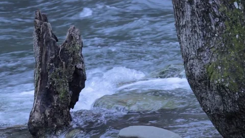 Flowing River Water with Trees Stock Footage 100959822