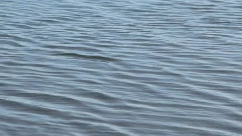 Flowing river water waves texture abstract natural background 4k footage 库存影片 296140454