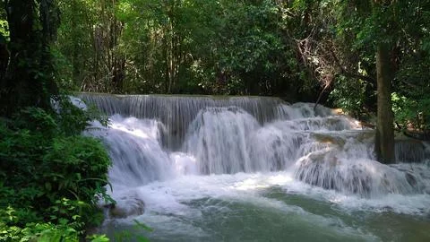 Flowing river with waterfall in a green forest scene Stock Photos