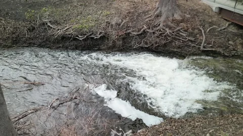 Flowing river with white caps small falls 4K Stock Footage 313457424
