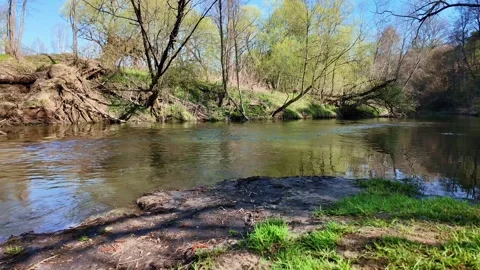 Flowing River in the Wilderness Video stock 307315930