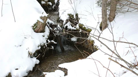 Flowing river in winter forest, Adelboden, Switzerland Stock-Footage 35790412