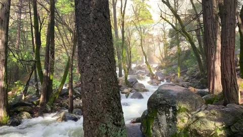 Flowing River in Yosemite Valley under a Rainbow Stock Footage 131684664