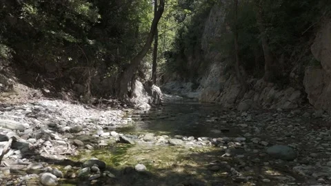 Flowing riverbed in a forest in Greece Stock Footage 288739725