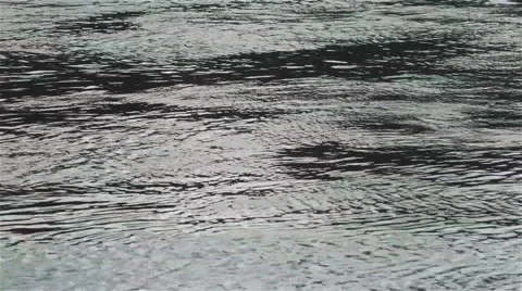 A flowing river. Close-up Stock Footage 46440807
