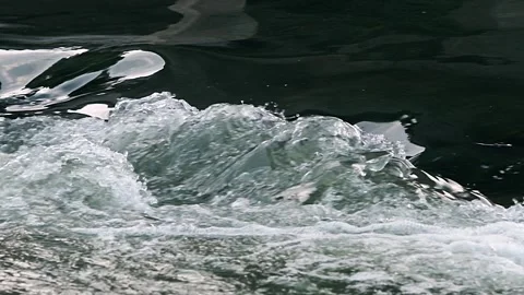 Flowing rivers - flowing water Vídeo Stock 259287909