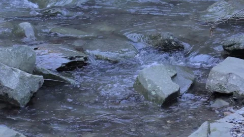 Flowing Rocky Stream Stock Footage 100992585