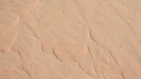 Flowing sand being pushed down shallow surface of dune Stock Footage 76935950