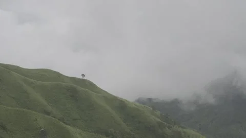Flowing Sea of Clouds over Meadow Ridge Stock-Footage 343662177