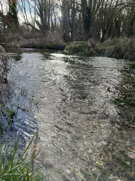 Flowing spring Stock Photos