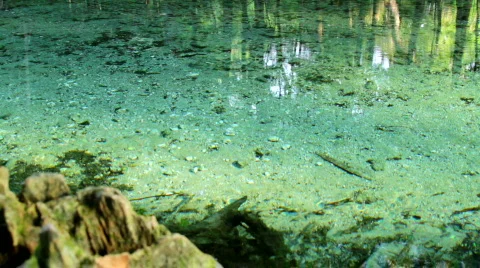 Flowing Spring Water Stock Footage 739592