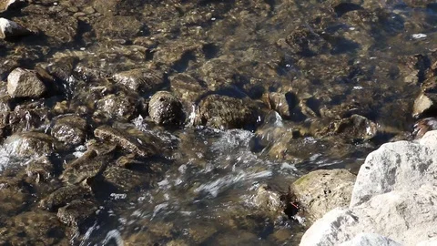 Flowing spring water Video stock 87356672