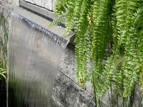 Flowing spring water in the garden. Stock Footage