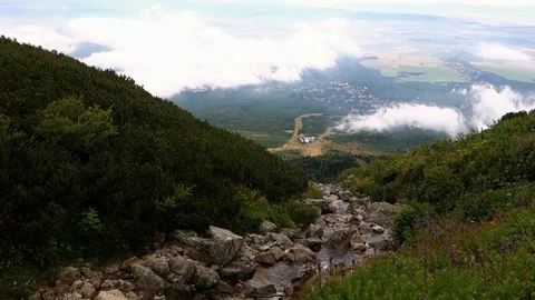 Flowing spring water from high mountains to valleys Stock Footage 115491148