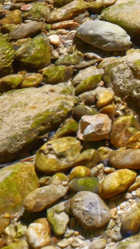 Flowing spring water over a clean pebble bed and mossy boulders in a quiet an Stock Footage 308306266